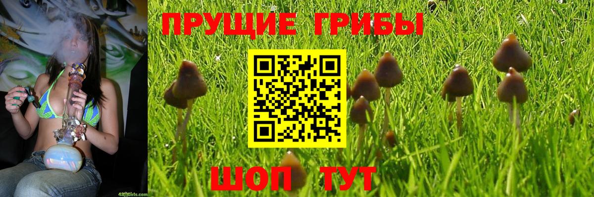 Псилоцибиновые грибы мухоморы Серпухов