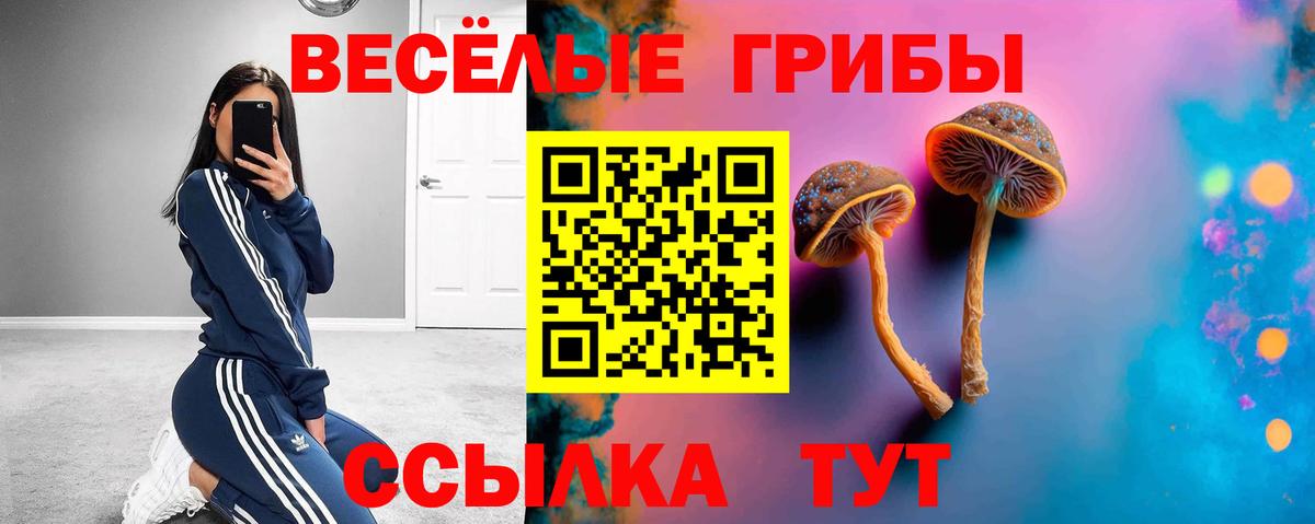 Галлюциногенные грибы Psilocybe  Вход с VPN  Серпухов 
